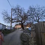 Kastro's View *