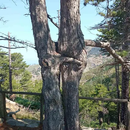 Kastro's View Apartmán *