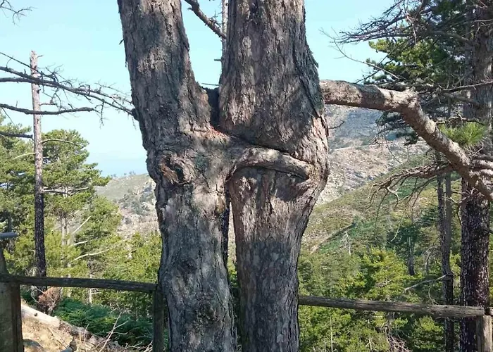 Kastro's View Apartamento *