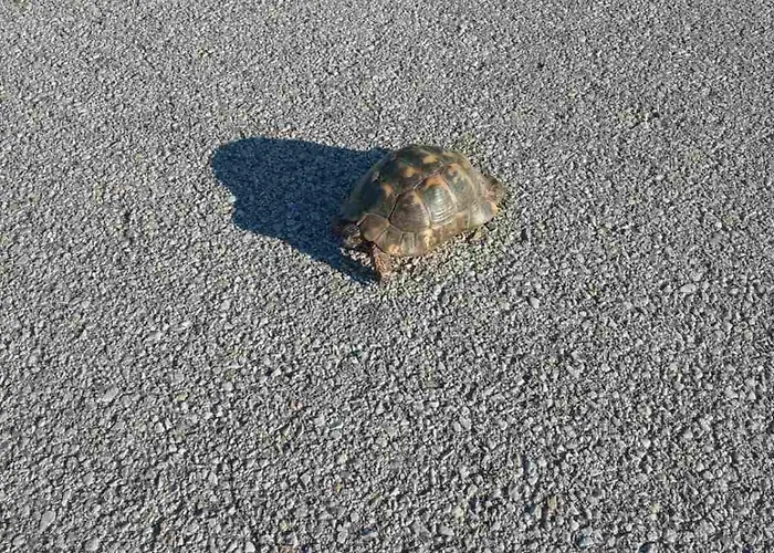 Apartamento Kastro's View *