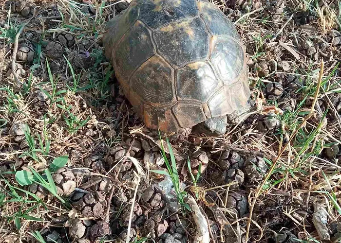 Kastro's View Apartamento